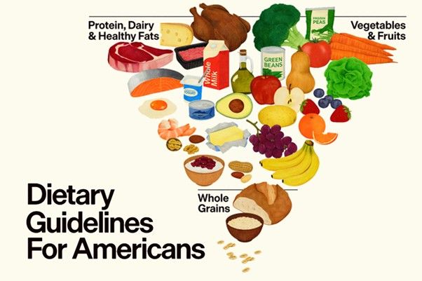 A Fresh Look at the ﻿2025–2030 U.S. Dietary Guidelines
